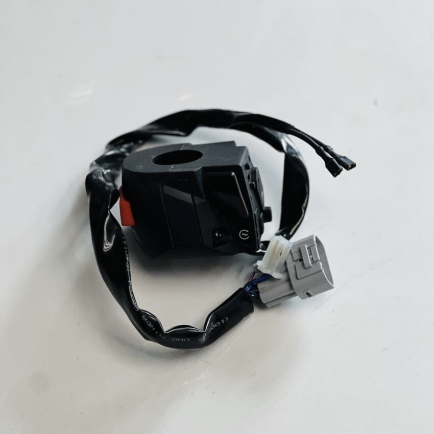 DUKE 250 BS6 SWITCH CONTROL