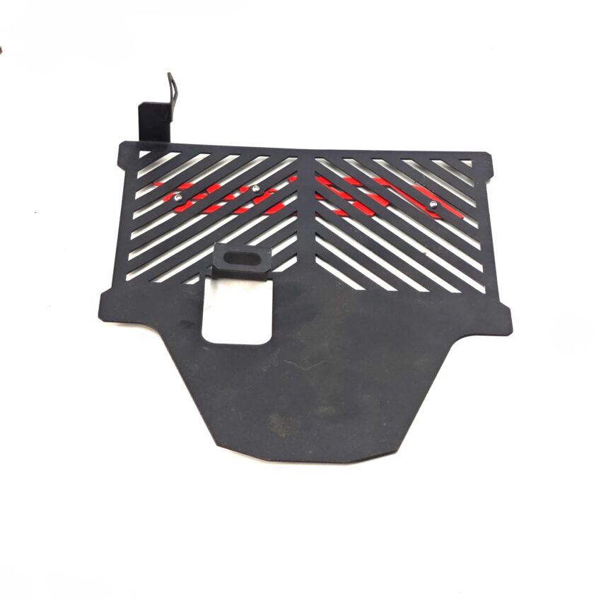 RADIATOR  GUARD R15 V3 - Image 2