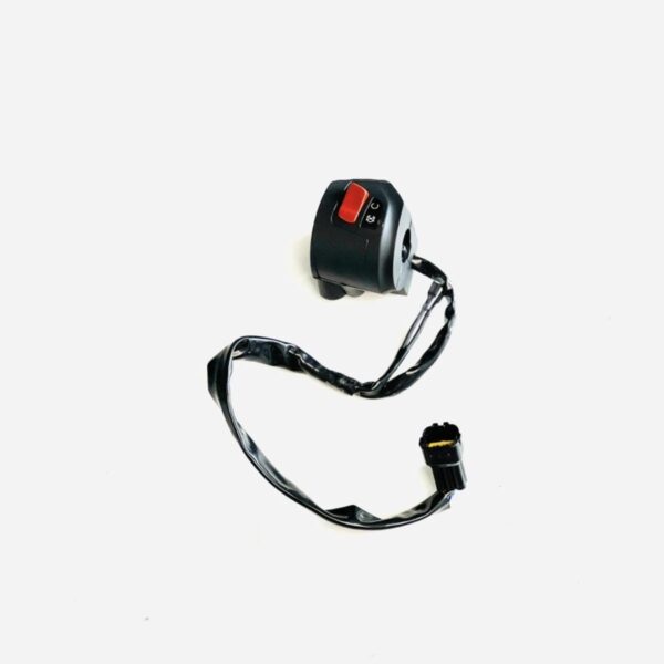 CONTROL SWITCH DUKE 250 BS4