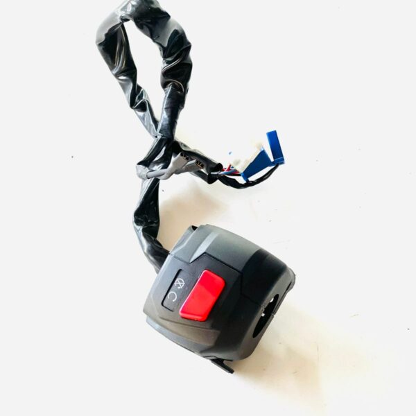 CONTROL SWITCH NS 160 RH SIDE BS6