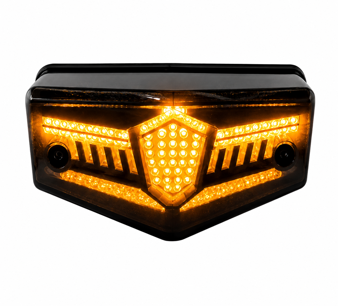 RX KING TAIL LIGHT - Image 2