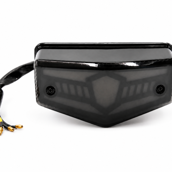 RX KING TAIL LIGHT