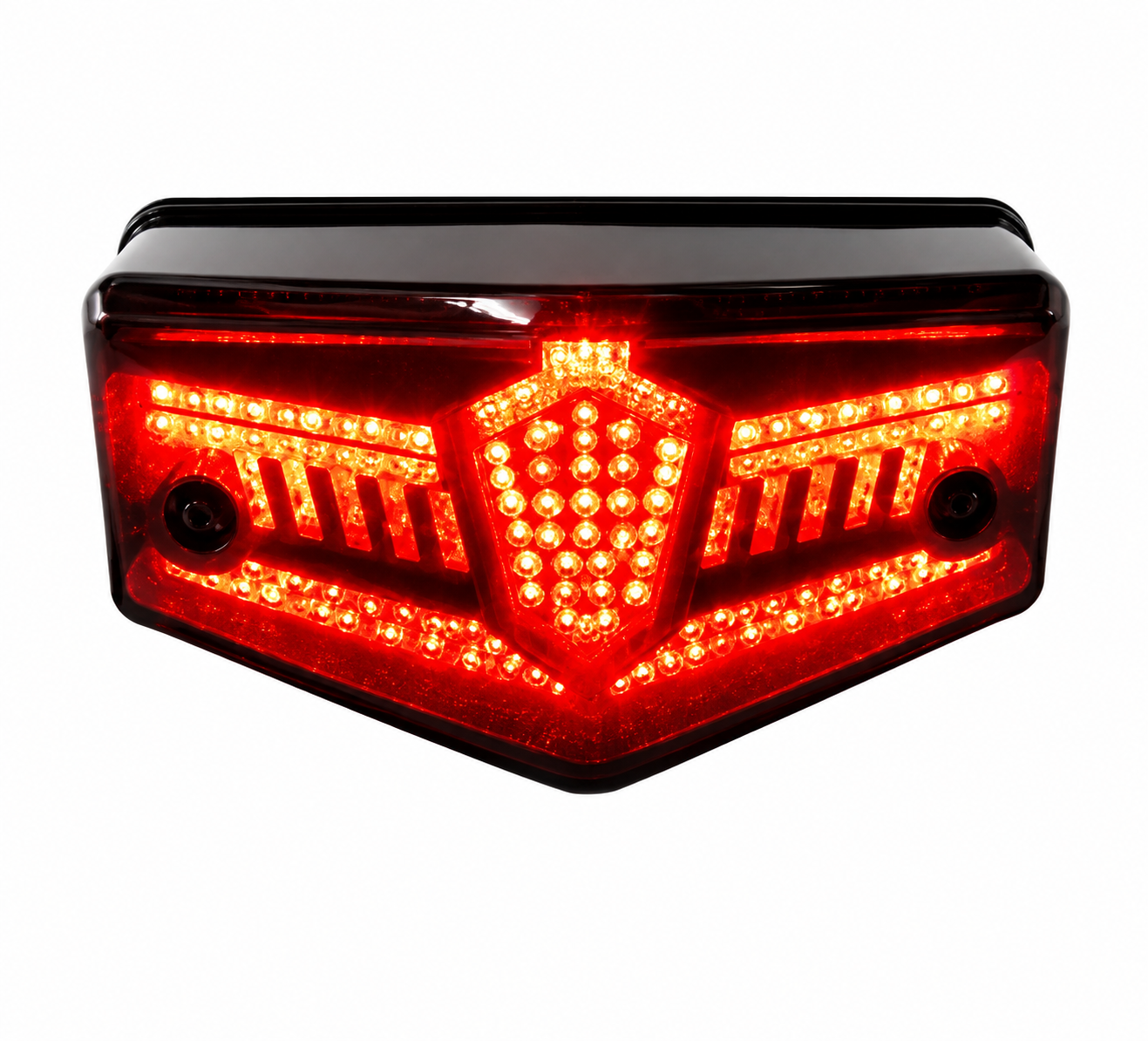 RX KING TAIL LIGHT - Image 4